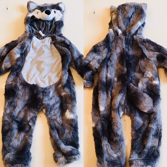 baby raccoon costume